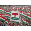 Kép 2/2 - Tornazsák Magyarország címeres