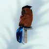 Kép 2/2 - Ballagási Capybara csokor
