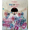 Kép 1/3 - Boy or girl banner, 3 m