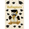 Kép 3/4 - Ballagó plüss bagoly, 19 cm