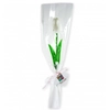 Kép 3/4 - Gumi tulipán,dísz csomagolásban