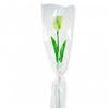 Kép 2/4 - Gumi tulipán,dísz csomagolásban