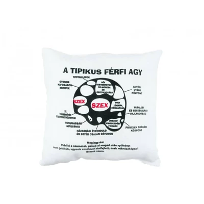 Tipikus férfi agy díszpárna