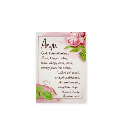 Anyu csak látni akarlak - fa tábla - fali kép-