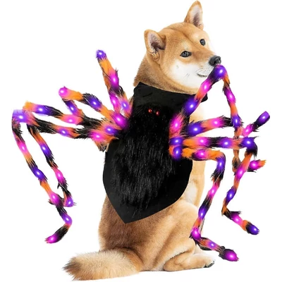 Kutya jelmez Halloweenra