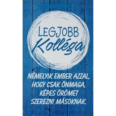 Legjobb kollega  fa tábla  16 cm x 26 cm 