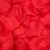 Virágszirom piros, 100 db  5 cm 