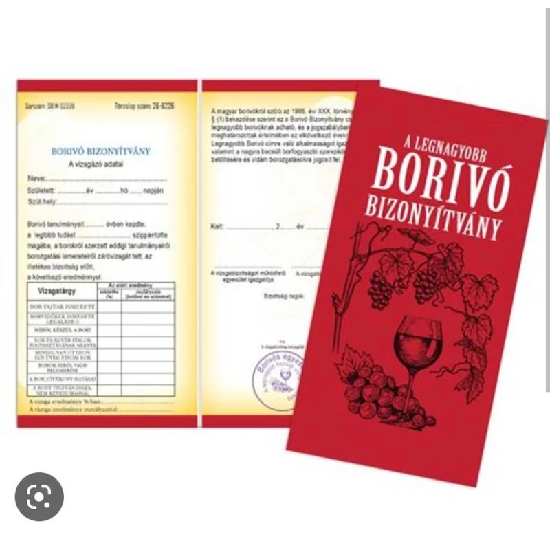 Vicces  legnagyobb borivó bizonyítvány 