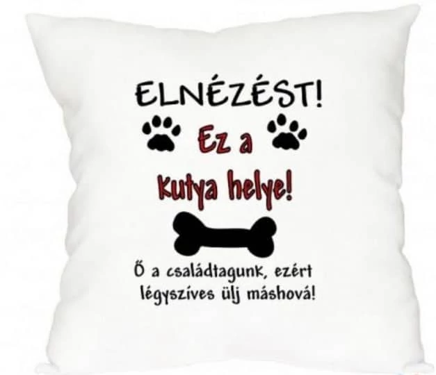 Elnézést ! Ez a kutya helye párna..
